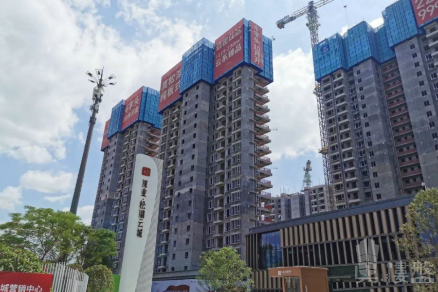 东莞中海松湖林语,首期5万(减),香港银行按揭
