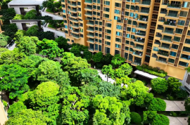 中山富逸城臻誉，首期5万(减)，香港银行按揭，最新价单