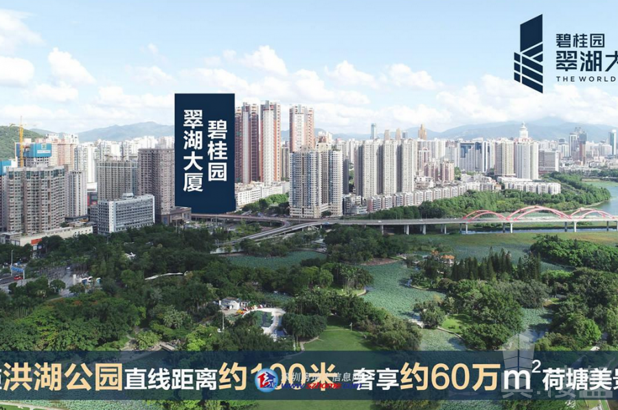 碧桂園翠湖大廈-深圳|首期5萬(減)|鐵路沿線,香港銀行按揭,最新價單