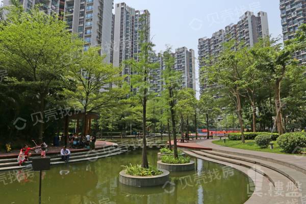諾德假日花園|前海中心區,高樓層看前海海灣開闊海景!
