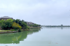 中山雅居樂民森迪茵湖，首期5萬(減)，香港銀行按揭，最新價單，中港專車免費上門接載睇樓