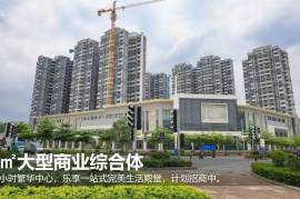 中山雅居乐民森迪茵湖，首期5万(减)，最新价单，中港专车免费上门接载看房