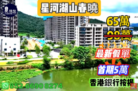 珠海星河湖山春晓，首期5万(减)，香港银行按揭，最新价单