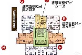 广州新塘建鑫荔棠雅苑，首期5万(减)，香港银行按揭，最新价单